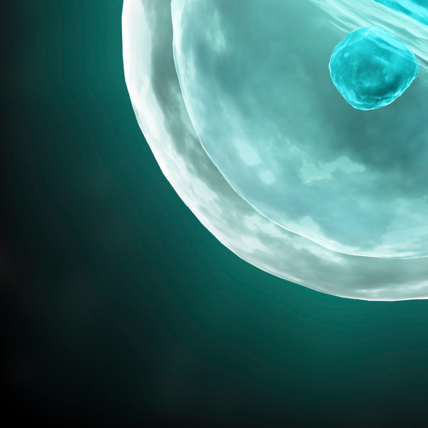 Neuroprotection and Plasticity