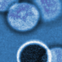 Optimizing vascular and oxygen delivery